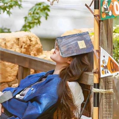 我的女友比我帅
